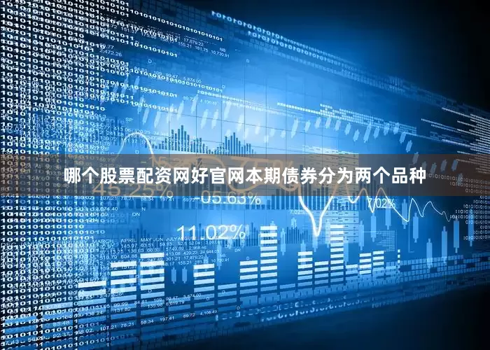 哪个股票配资网好官网本期债券分为两个品种