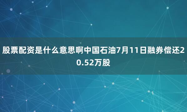股票配资是什么意思啊中国石油7月11日融券偿还20.52万股